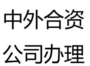 中外合資企業(yè)注冊(cè) 中外合資企業(yè)注冊(cè)