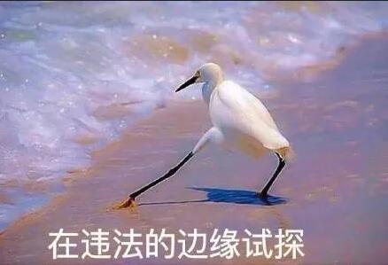 一個(gè)廣告被罰30萬！深圳發(fā)出廣告宣傳導(dǎo)向?qū)彶椤笆睢保? width=