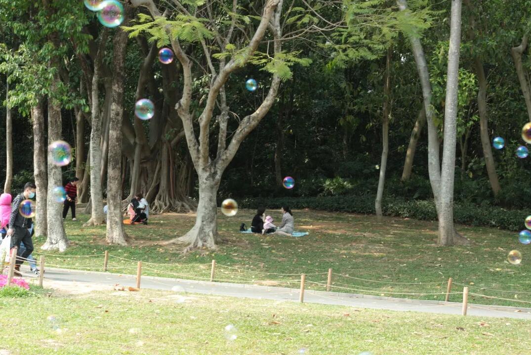 三月春意昂·結(jié)伴探春風——君林企業(yè)踏青活動掠影 三月春意昂·結(jié)伴探春風——君林企業(yè)踏青活動掠影