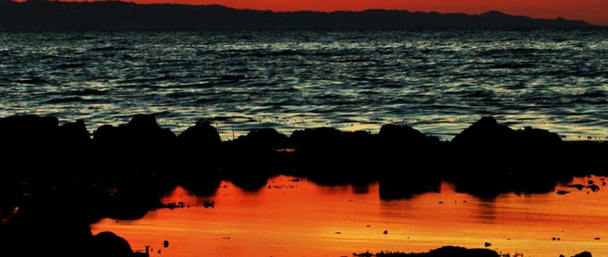 2025馬紹爾公司注冊全指南，流程、優(yōu)惠與實用價值（小白一看就懂）